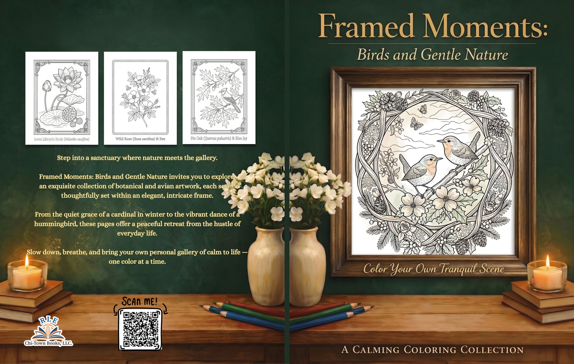 Framed Moments RLE Chi-Town Books, LLC
